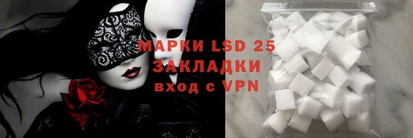 a pvp Аркадак